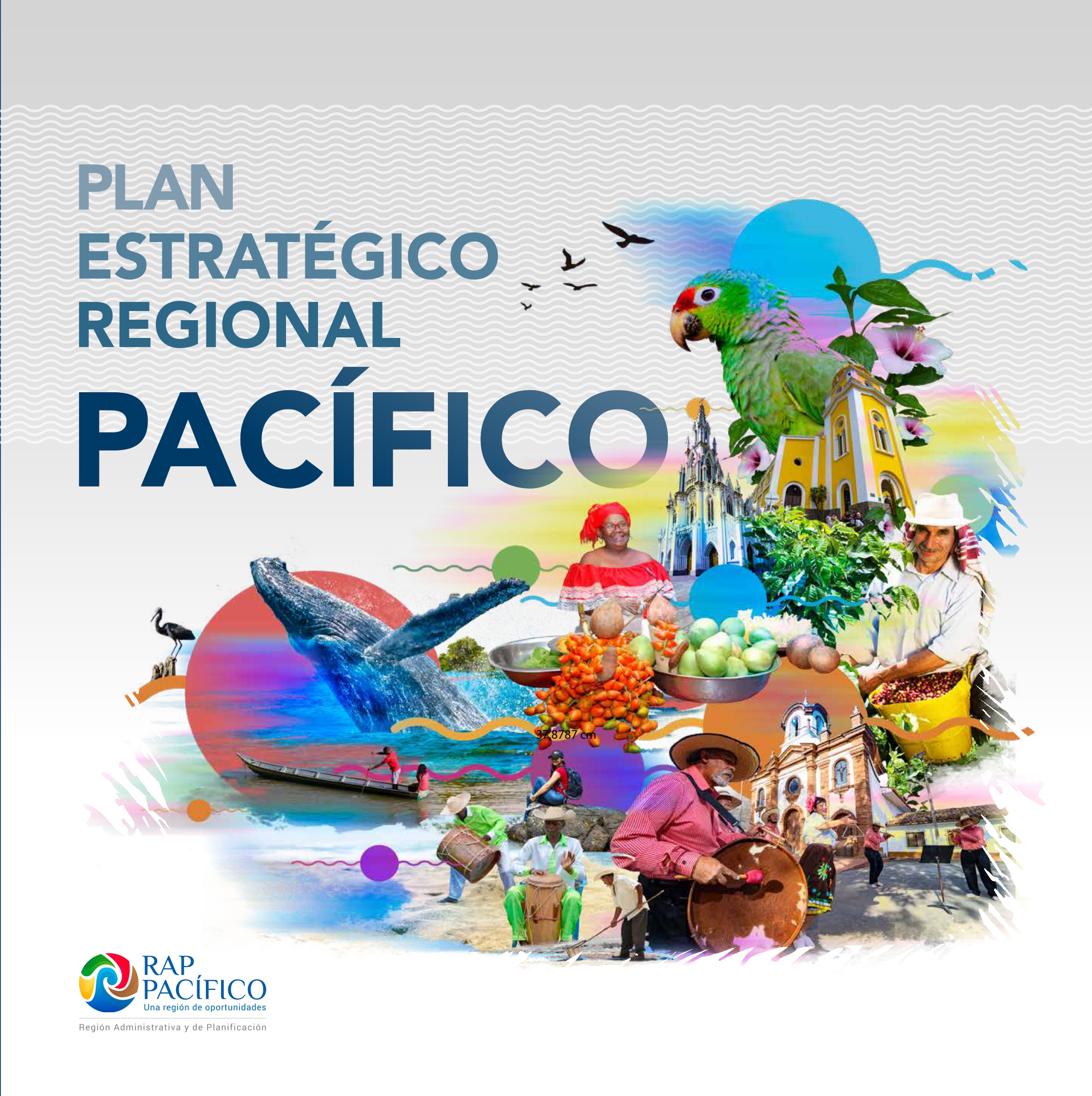 Plan Estratégico Regional – PER Pacífico